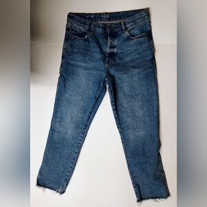 Women's Plus a.n.a High-Rise Straight Blue Jeans Button Fly Frayed Hem Size: 14